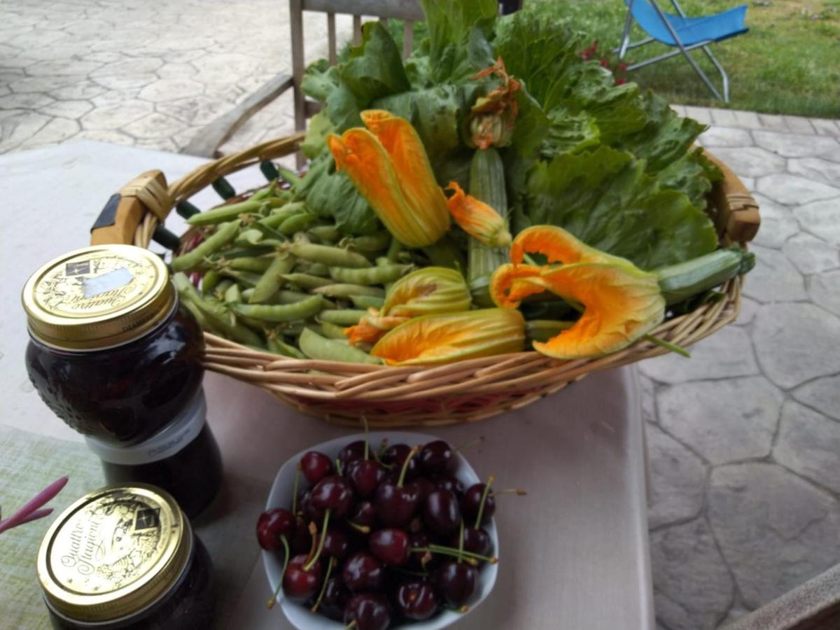 Agriturismo Allo Scoglio - Azienda Agricola Trieszt Kültér fotó