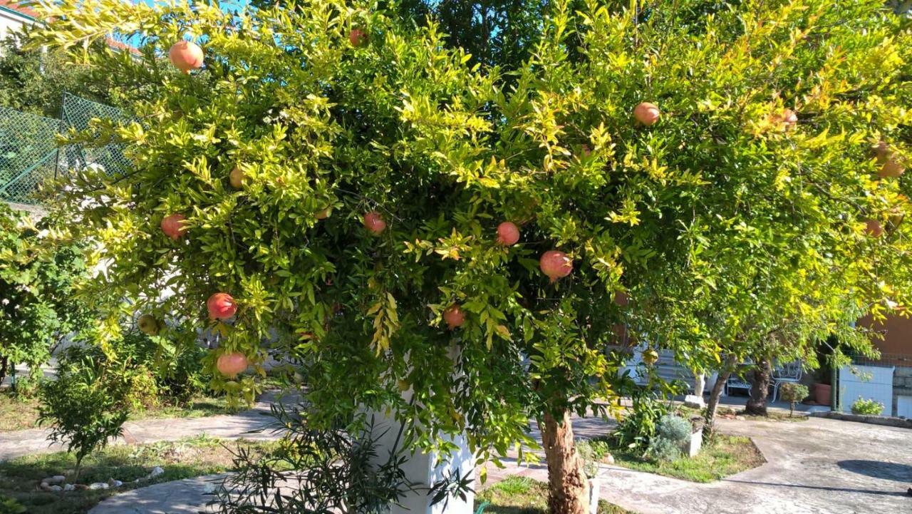 Agriturismo Allo Scoglio - Azienda Agricola Trieszt Kültér fotó